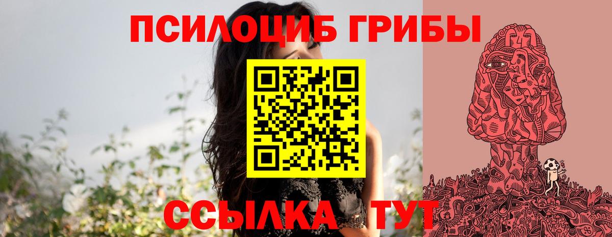 Галлюциногенные грибы Cubensis  Вход с VPN  наркошоп  Амурск 